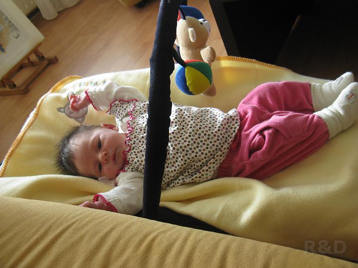 Yente 26 maart 2009 (6).JPG
